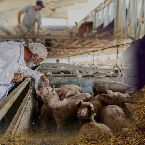 Animal Care and Handling 2026