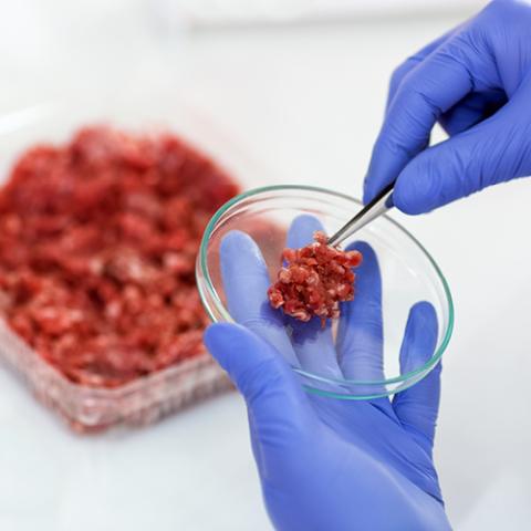 Historical Analysis of Salmonella