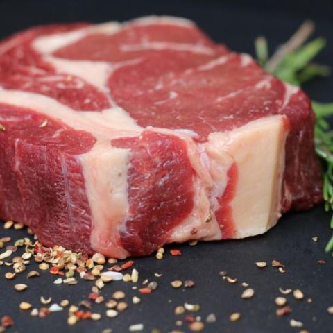 food safety series 2025